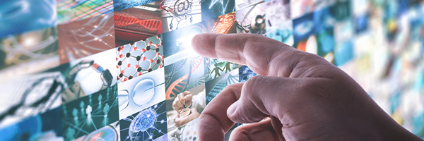 interconnected websites technology and people